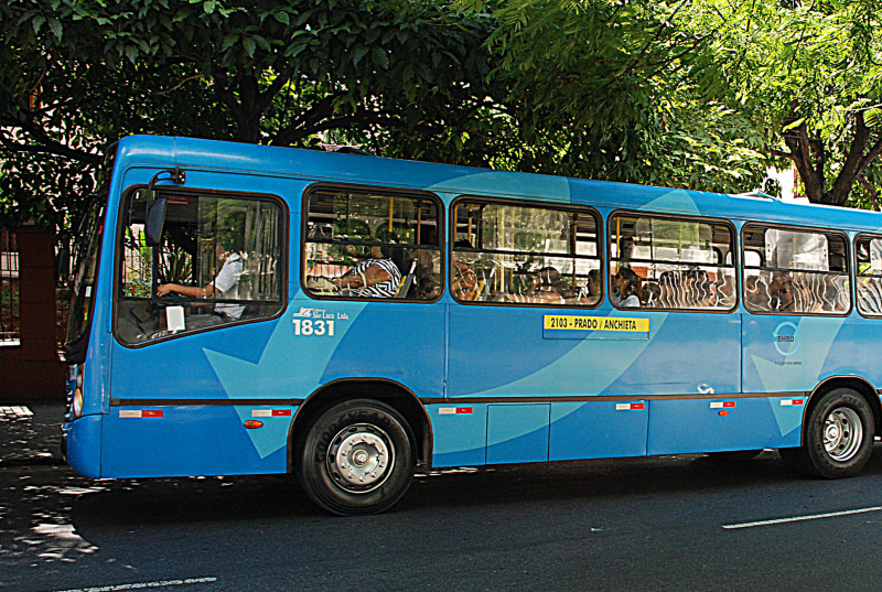ônibus azul (transporte coletivo) Foto: breno pataro pbh