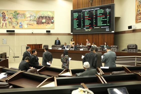 Vereadores aprovam adoção de pavimento permeável em passeios públicos