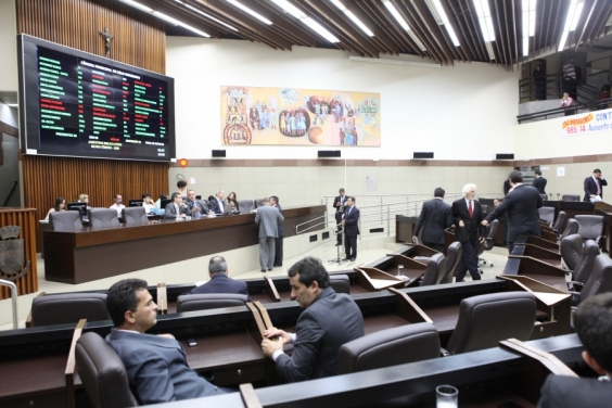 Segurança pública foi tema de destaque na reunião plenária. Foto: Mila Milowski
