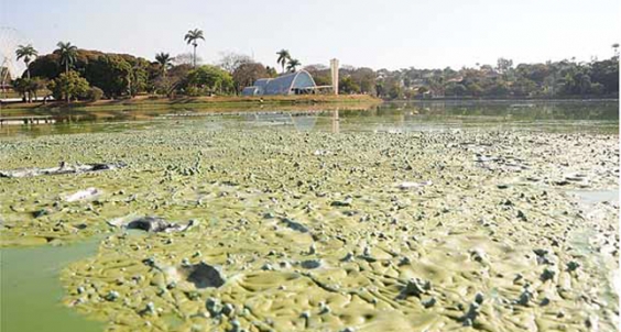 Destinação de resíduos da Lagoa da Pampulha motivou audiências públicas (foto: site do vereador Sérgio Fernando Pinho Tavares)