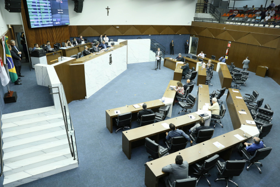33ª reunião ordinária do Plenário, em 6 de maio de 2019