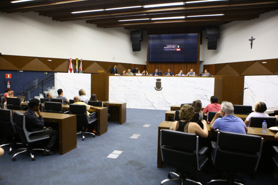 Parlamentares compõem mesa de reunião; convidados acompanham nas cadeiras do Plenário