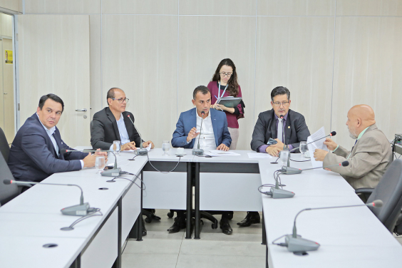 Os cinco integrantes da comissão estão sentados na Mesa do Plenário Helvécio Arantes; uma servidora está de pé atrás deles, assessorando a reunião