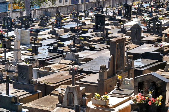 Mais de trinta túmulos em cemitério municipal, durante o dia.