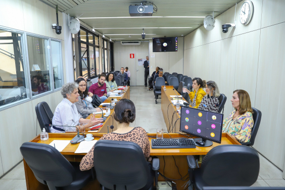 Imagem da reunião no Plenário Camil Caram