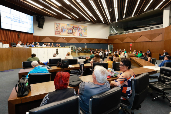 parlamentares e participantes presentes em audiência pública na câmara municipal de bh