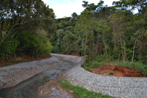 curso d'água passando entre mata
