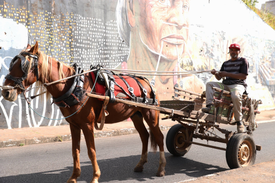 Carroceiro com veículo movido por tração animal