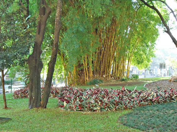 parque urbano