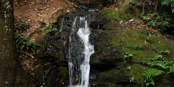 imagem de cachoeira com sua queda d'água