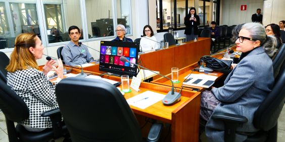 Vereadora Professora Marli e convidados da audiência pública assentados no Plenário Camil Caram