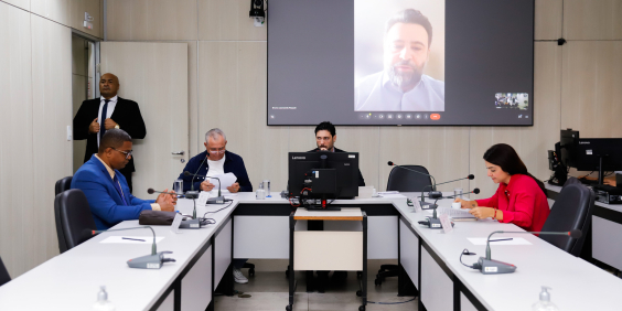 parlamentares e participantes presentes em audiência pública na câmara municipal de bh