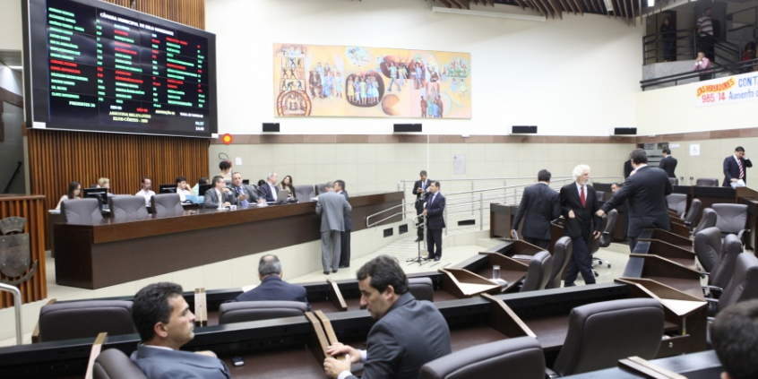 Segurança pública foi tema de destaque na reunião plenária. Foto: Mila Milowski