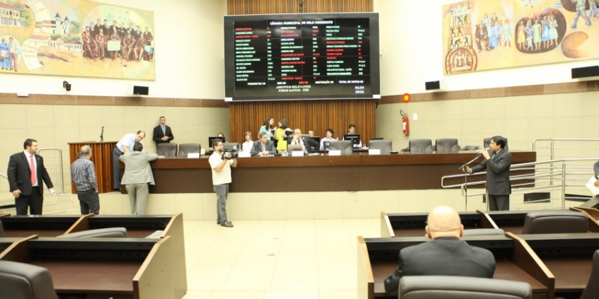 reunião plenária