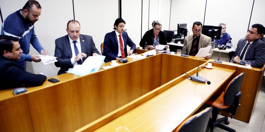 Vereadores da Comissão de Legislação e Justiça aprovam, em reunião, pareceres em favor dos animais e da segurança no trânsito