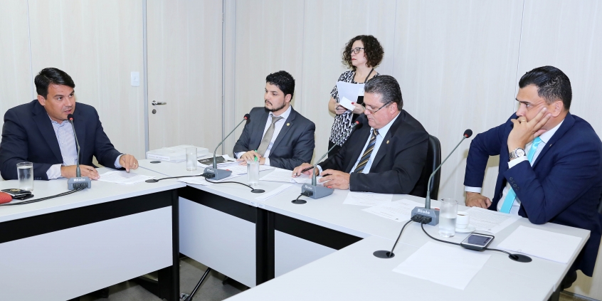 Vereadores em reunião da Comissão Especial 