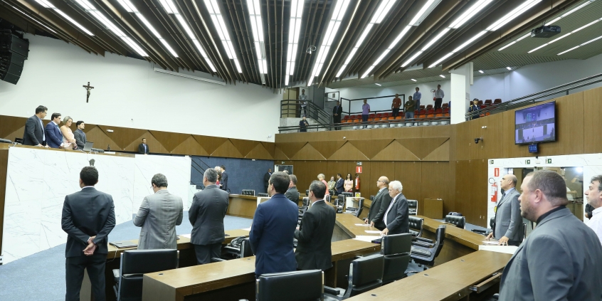16ª reunião ordinária do Plenário, em 13 de março de 2019