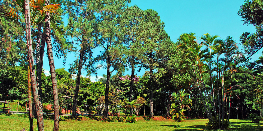 Parque Municipal Jacques Cousteau