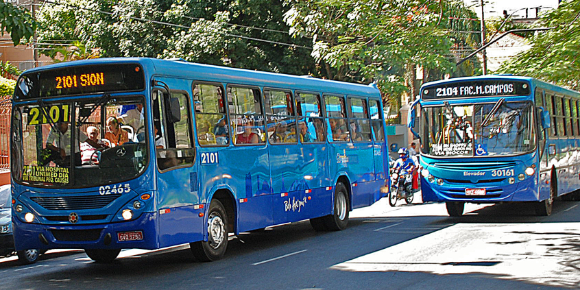 Dois ônibus em movimento em avenida arborizada, durante o dia.