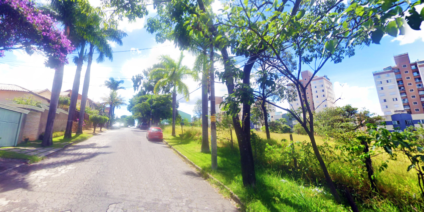 Rua de bairro arborizada com terreno gramado à direita, durante o dia.