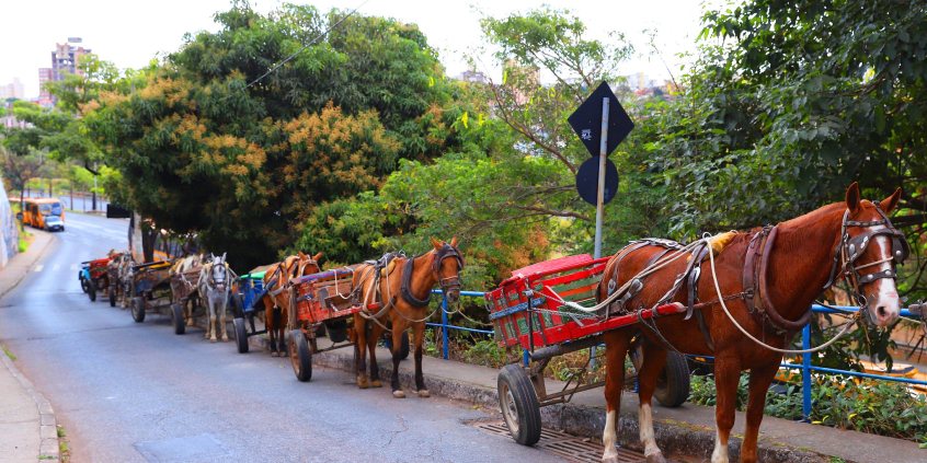 Fila de carroceiros em via