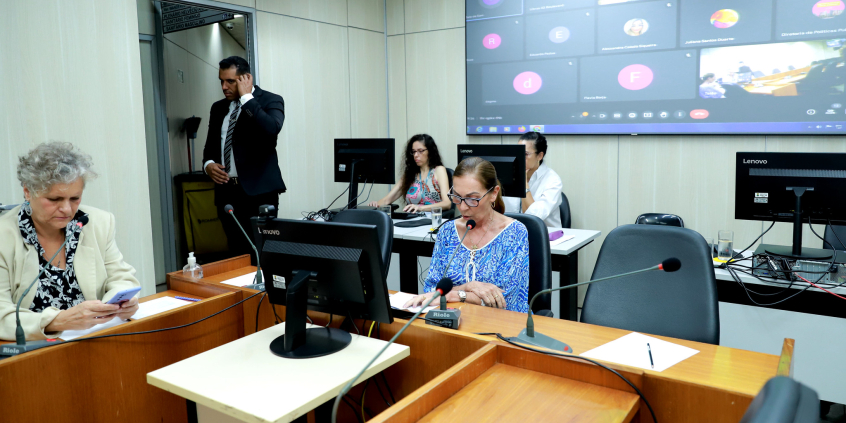 Imagem das vereadoreas Professora Marli (PP) e Cida Falabella (Psol) em reunião no Plenário Camil Caram