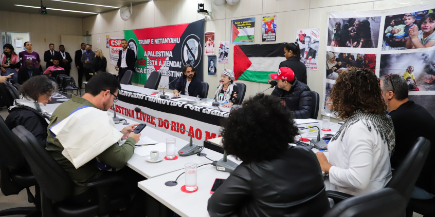Vereadores e convidados participam de audiência no Plenário Helvécio Arantes, bandeiras da palestina estão afixadas nas paredes