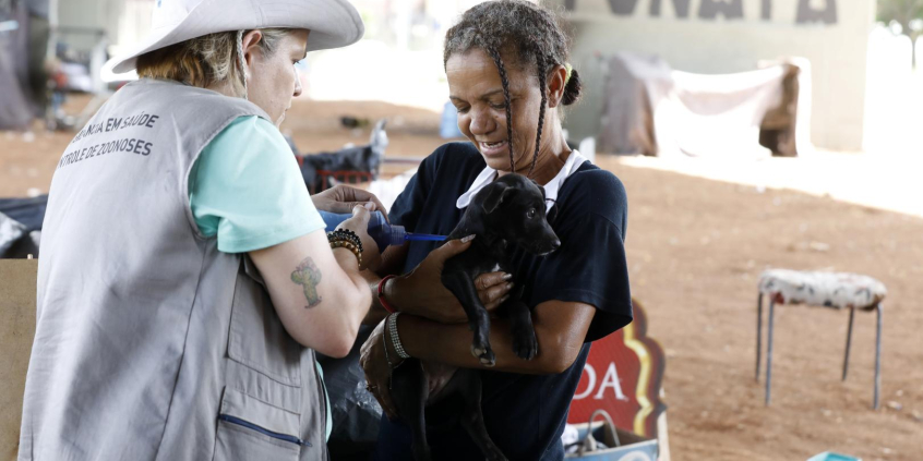 fiscal da prefeitura de belo horizonte entrega um cachorro a uma mulher