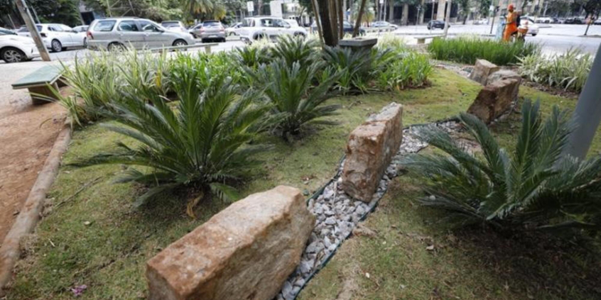 canteiro gramado em área pública