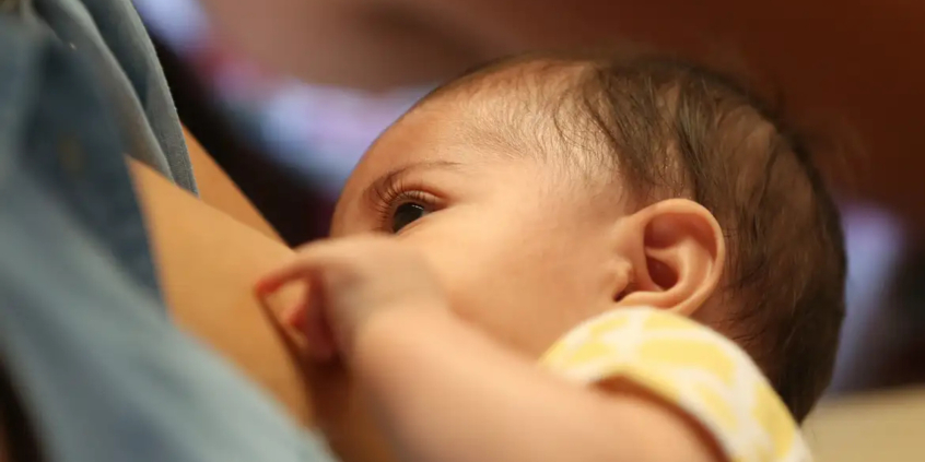 Bebê em situação de aleitamento 