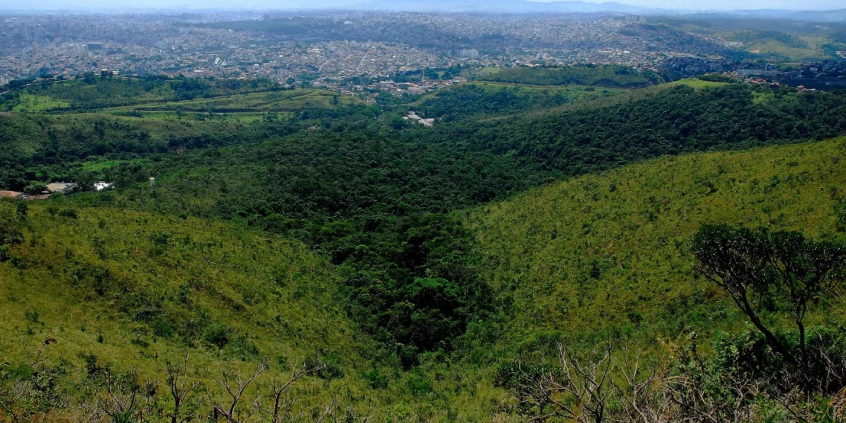 Vista aérea da região da Mata da Baleia 