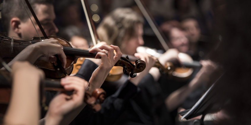 Violinistas