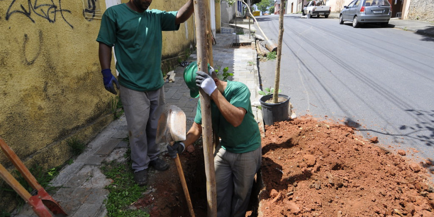 Dois trabalhadores da Prefeitura plantam árvore em calçada de rua do bairro Esplanada