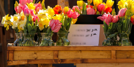 Banca - feita de madeira na cor clara - com flores coloridas e uma placa indicativa de preços