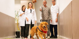 Cachorro da raça golden retriever do projeto Aumor corre atrás de bolinha, observado por médicos, enfermeiros e paciente