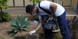 agente de combate a endemias realiza vistoria domiciliar