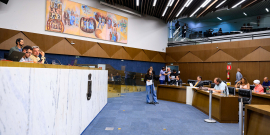 parlamentares presentes em reunião plenária