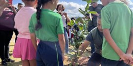 Estudantes em roda vistos de costas, observando plantação de muda