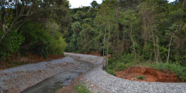 curso d'água passando entre mata