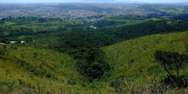 Vista aérea da região da Mata da Baleia 