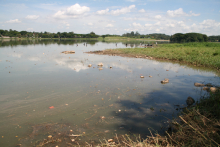 Comissão quer resgatar qualidade ambiental e paisagística da Pampulha