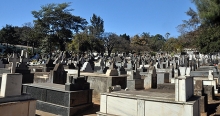 Manutenção do Cemitério da Saudade será discutida em audiência pública 