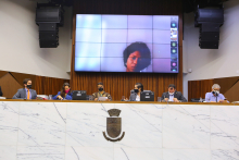 Imagem de parlamentares sentados à mesa do Plenário com telão ao fundo, exibindo a depoente em videoconferencia