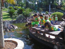 Mais de treze alunos de educação infantil alimentam os peixes em lago de parque municipal, durante o dia.