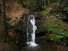 imagem de cachoeira com sua queda d'água