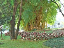 parque urbano